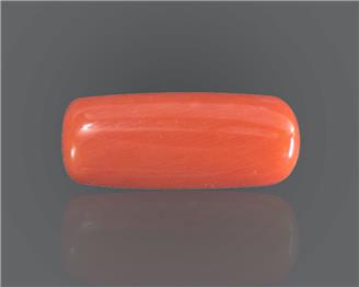 Natural Coral  8.78RTS-27496